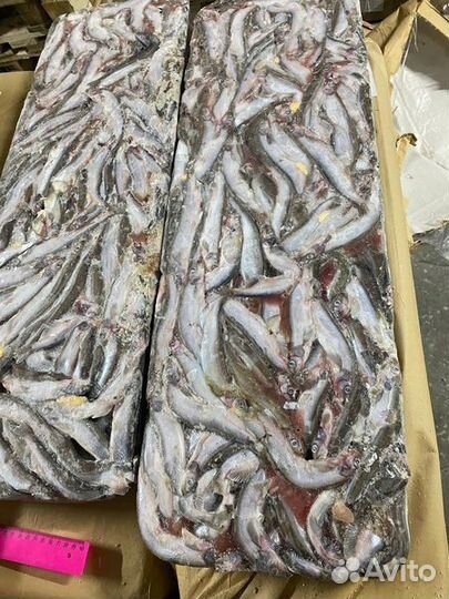 Рыба и морепродукты оптом