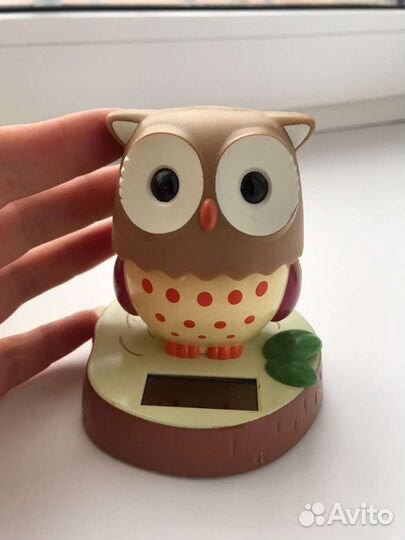 Сова на солнечной батарее