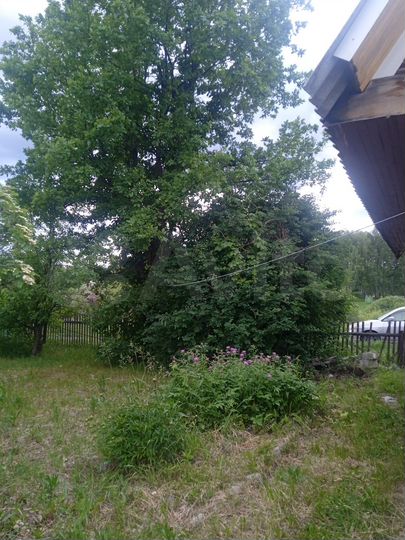 Дача 41 м² на участке 7 сот.