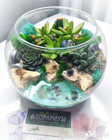 Флорариум в подарок