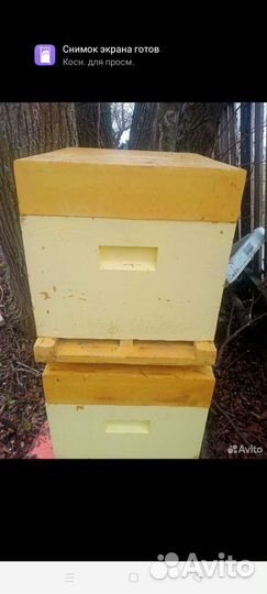 Продам ульи для пчел