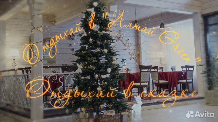 Видеооператор/Видеограф. Видеомонтаж