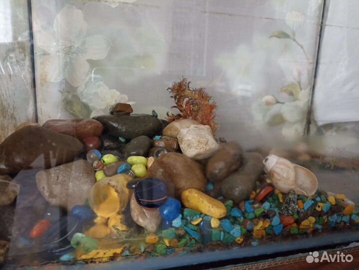 Аквариум + компрессор