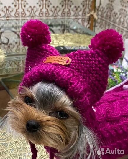 Вязаная одежда для собаки, сфинкса