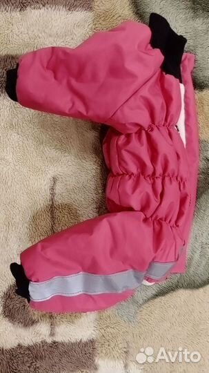 Комбинезон для маленькой собаки девочки