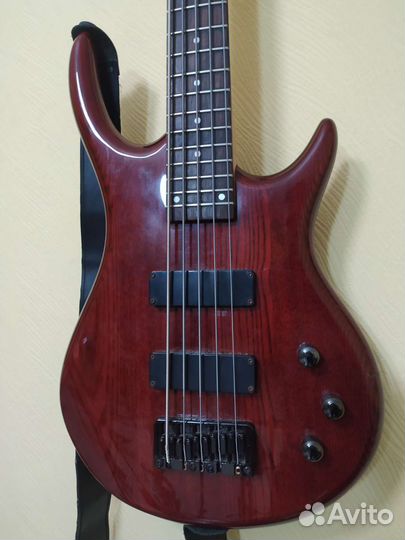 Бас гитара 5 струн