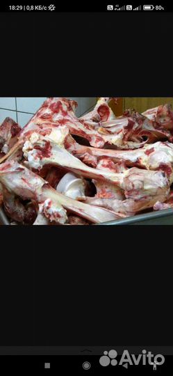 Кости для собак