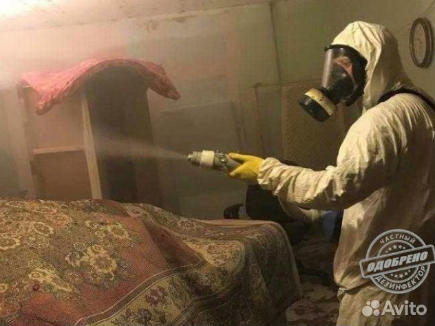 Уничтожение клопов тараканов дезинфекция плесени