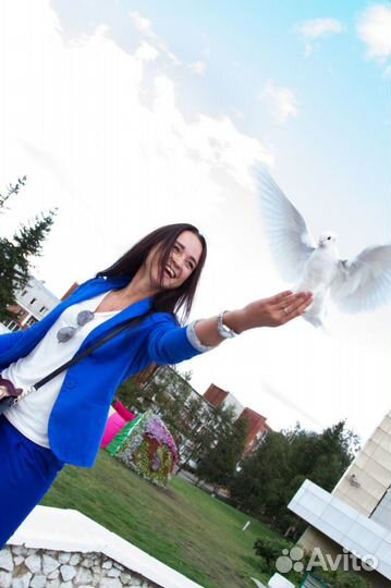 Белые голуби