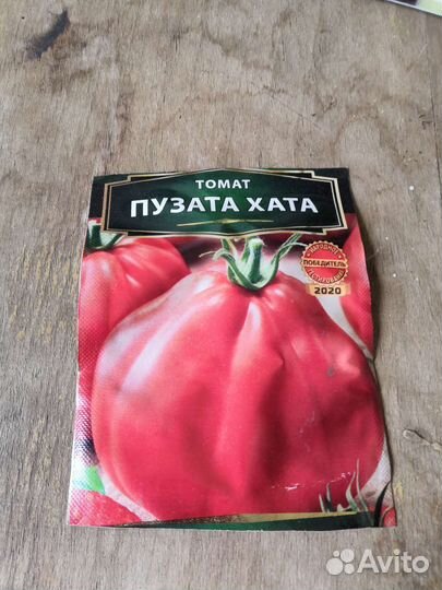 Рассада помидор
