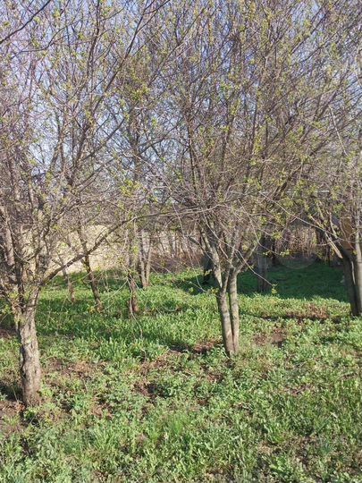 Дом 85 м² на участке 30 сот.