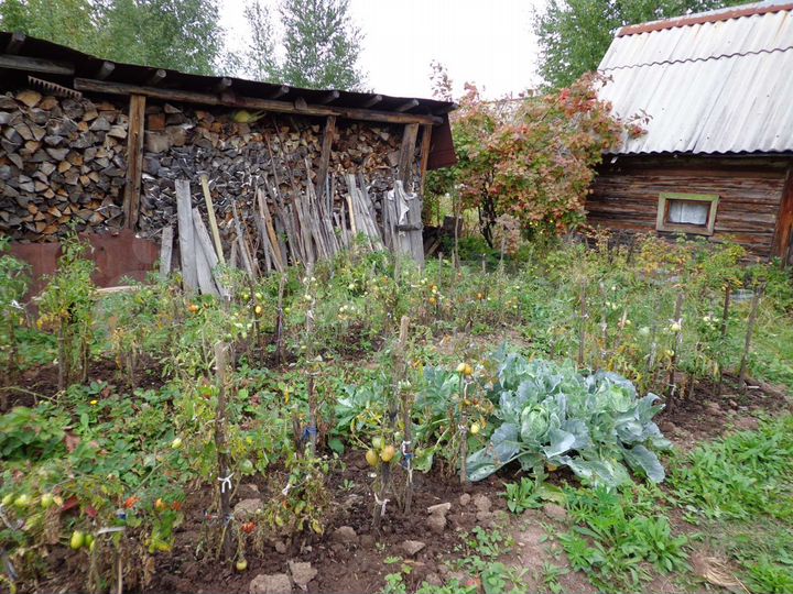 Участок 13 сот. (СНТ, ДНП)