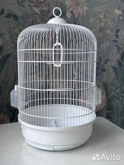 Клетка для птиц ferplast