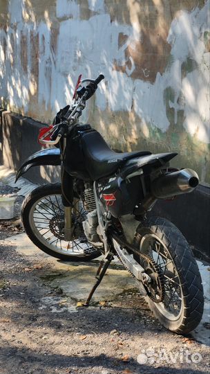 Honda XR250