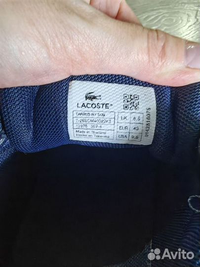 Кеды мужские lacoste 43