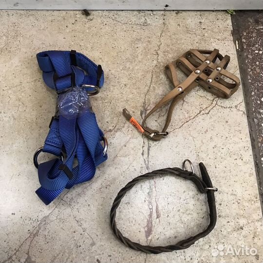 Поводки, шлейки, ошейники,в ассортименте