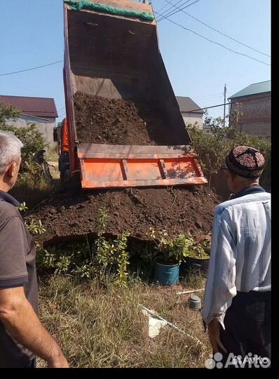 Чернозем перегной навоз с доставкой