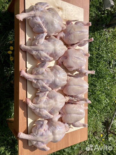Мясо домашней курицы(Бройлера)