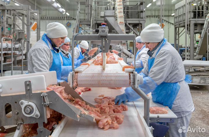 Обработчик птицы / Курская Область