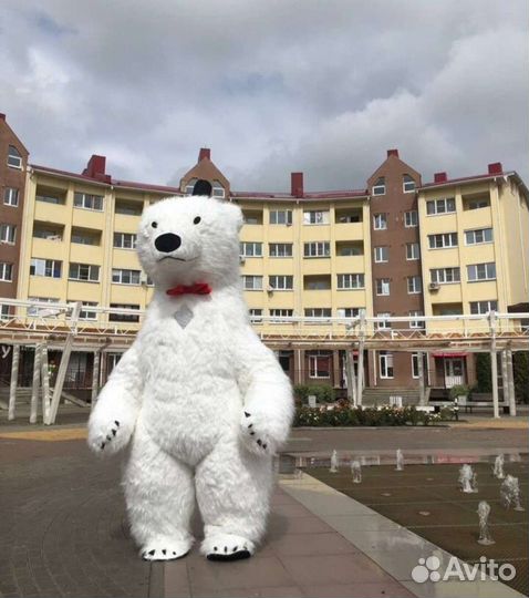 Белый Мишка Аренда Белого Медведя,костюм на прокат