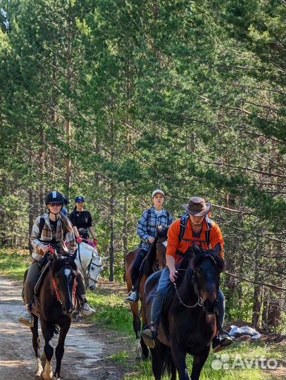 Конные туры и прогулки