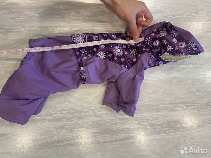 Одежда для собаки