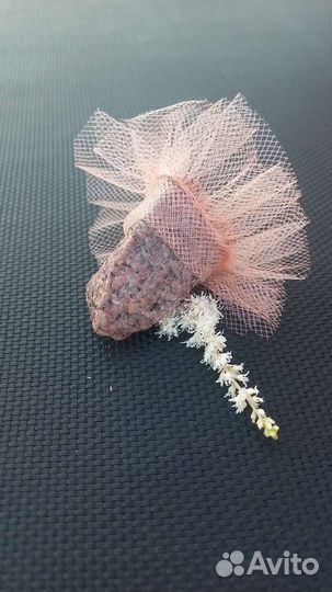 Камень Валя, домашний питомец