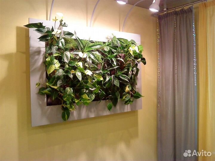 Вертикальное озеленение фитостена, фитокартина