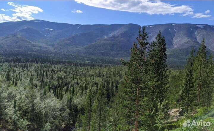 Авто тур в Хибины