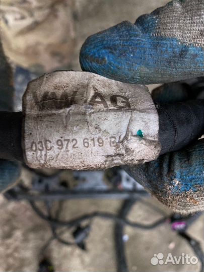 Проводка моторная Skoda Octavia лифтбек А5