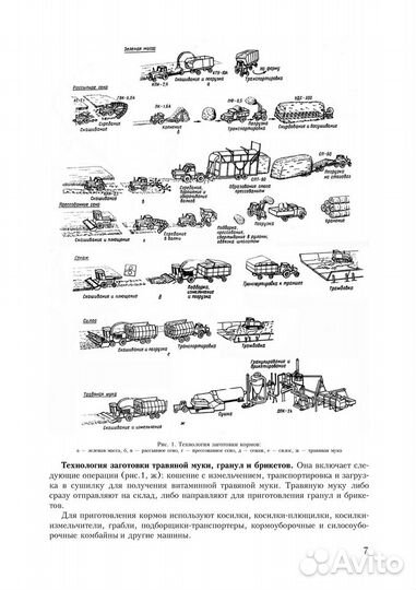 Техника и технология мясного мясного скотоводства