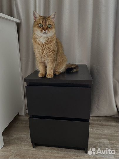 Тумба IKEA malm