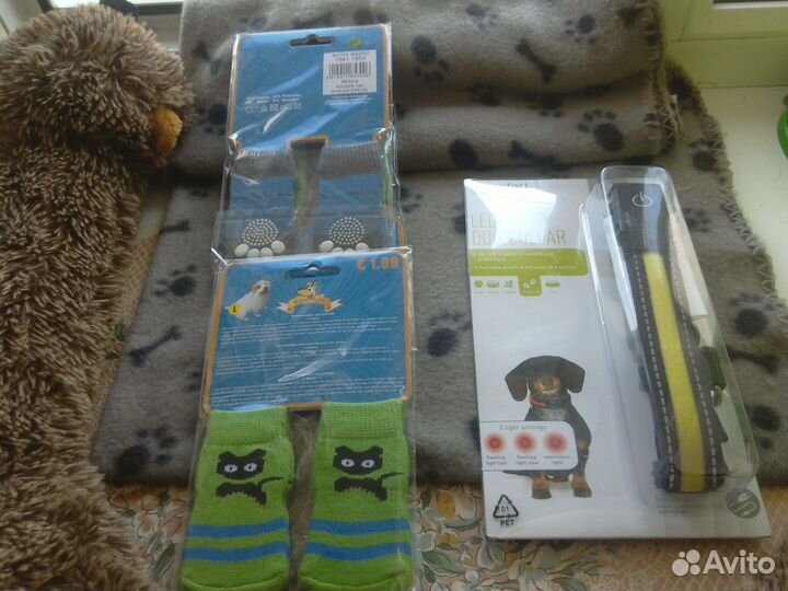 Собачьи носки