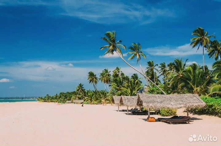 Шри-Ланка путевка 9 нч завтрак, 5 звезд