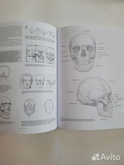 Книги для художников