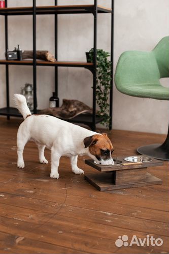 Миска для кошек и собак именная