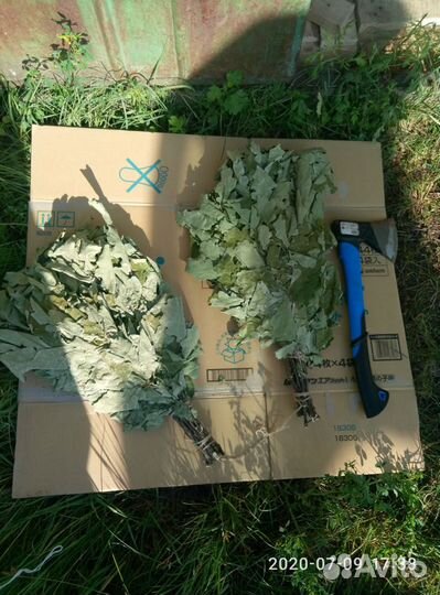 Дубовые веники для бани