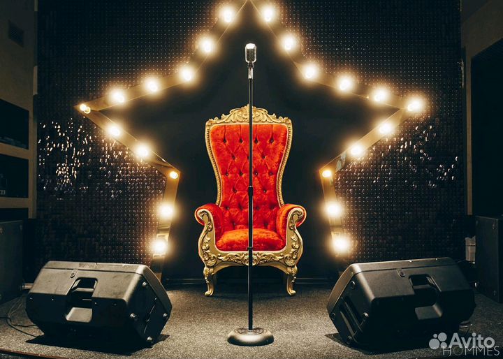 Профессиональная караоке система