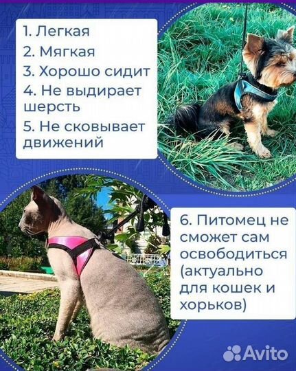 Шлейка для собаки и кошки