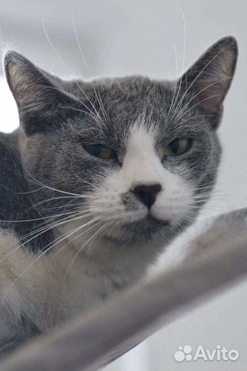 Прекрасная девочка Бусинка