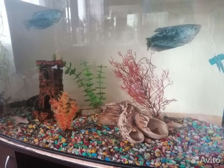 Украшения для аквариума