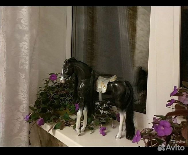 Лошадь черная