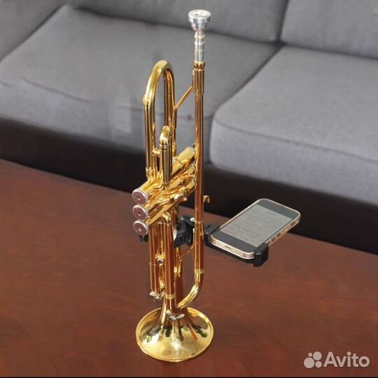 Мини-пульт лира для трубы под телефон