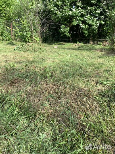 Покос травы газонокосилкой