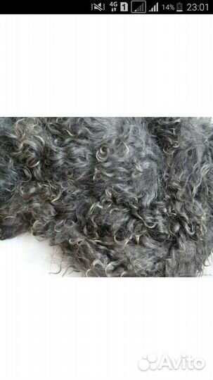 Волгоградский козий пух. Доставка по городу и райо