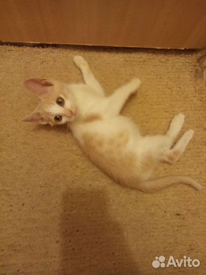 Милый малыш