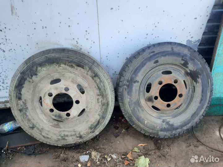 Accelera 651 7.50/10 R16