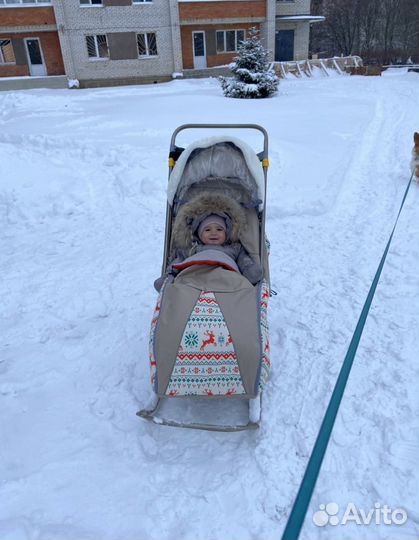 Детские санки коляска