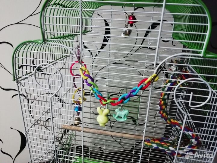 Клетка для попугая с игрушками и ванной