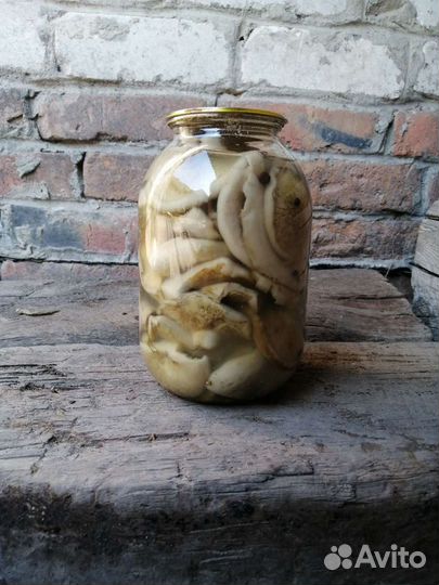 Белые грузди